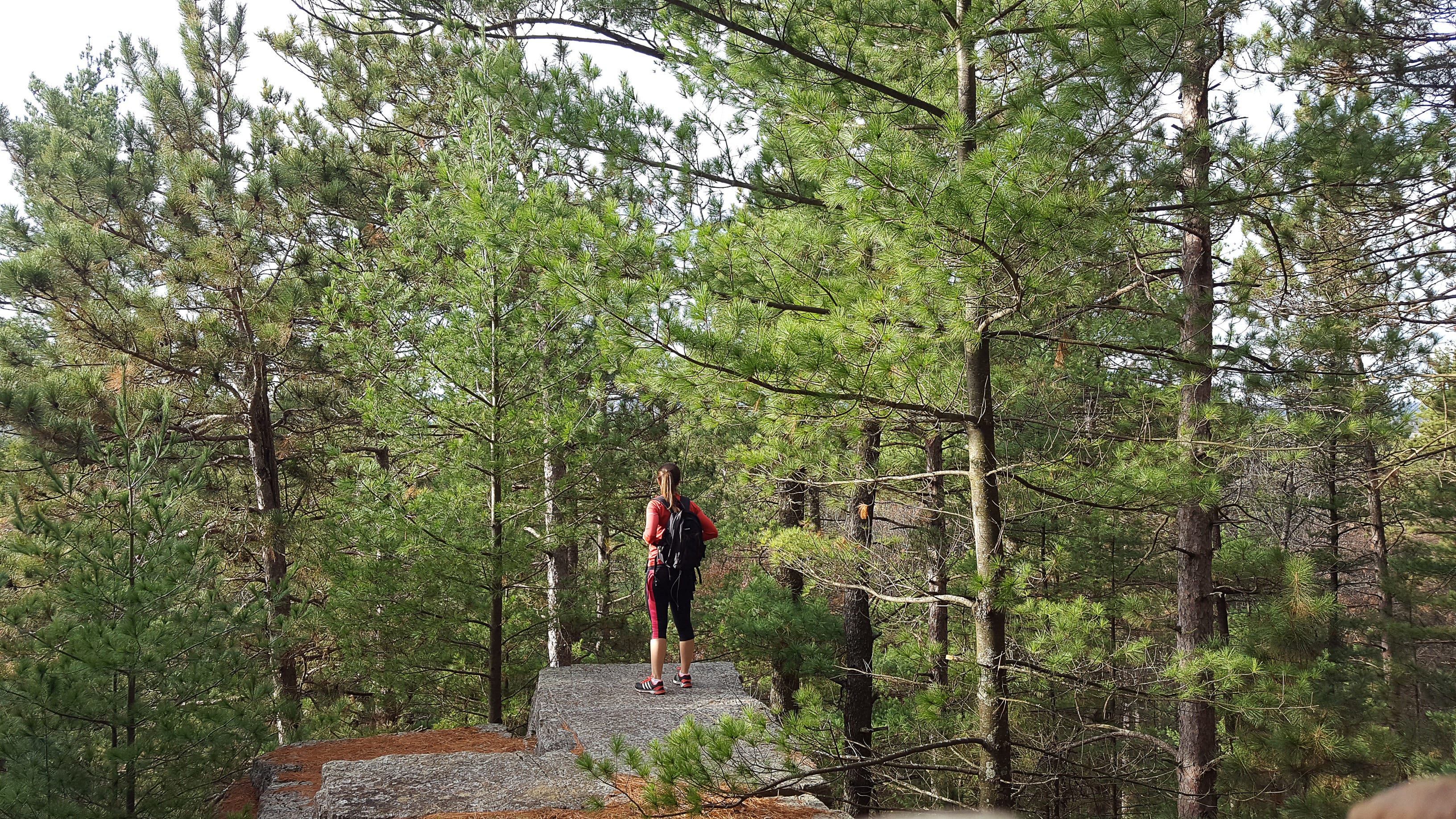black river state forest backpacking